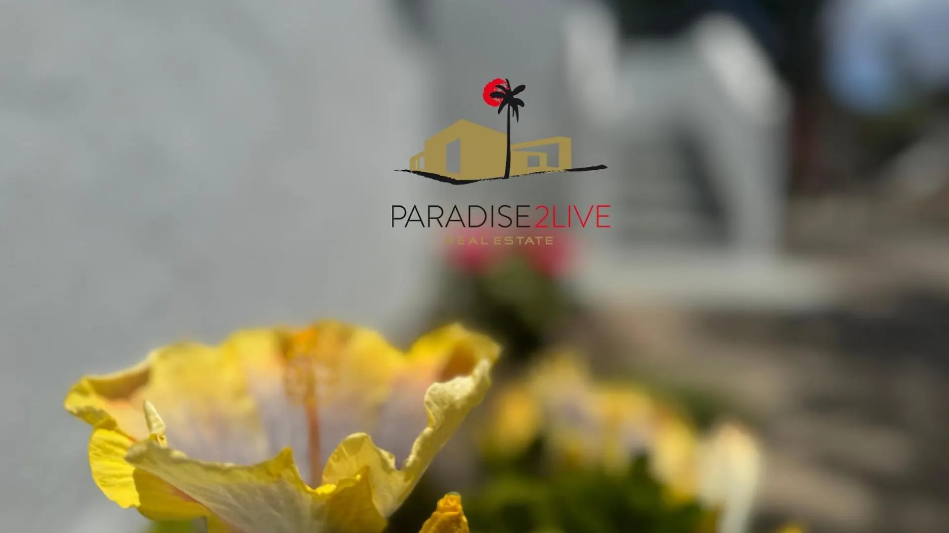 Hibiscus Διαμέρισμα Κοραλέχο 0*,  Ισπανία